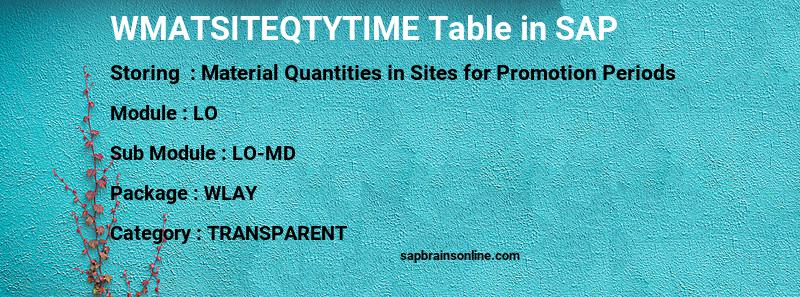 SAP WMATSITEQTYTIME table