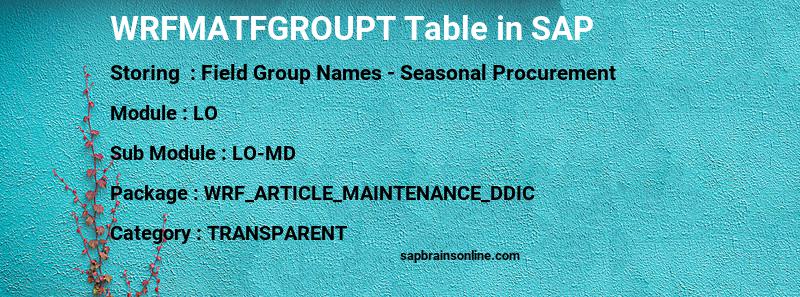 SAP WRFMATFGROUPT table