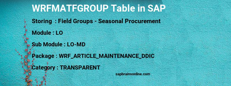 SAP WRFMATFGROUP table