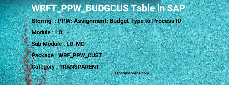 SAP WRFT_PPW_BUDGCUS table