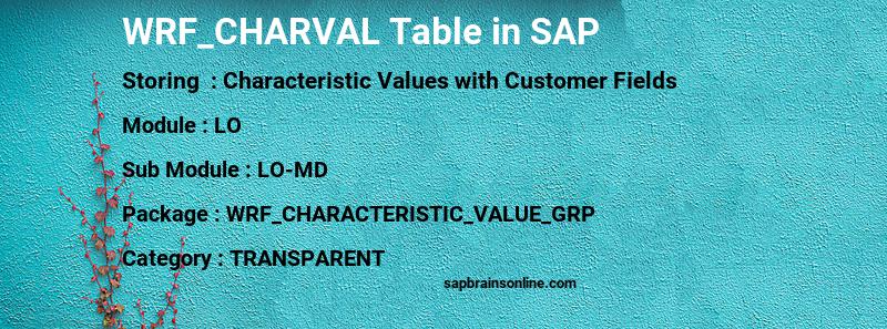 SAP WRF_CHARVAL table