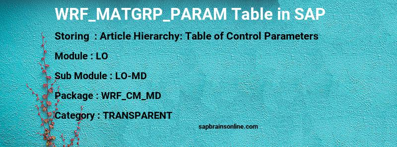 SAP WRF_MATGRP_PARAM table