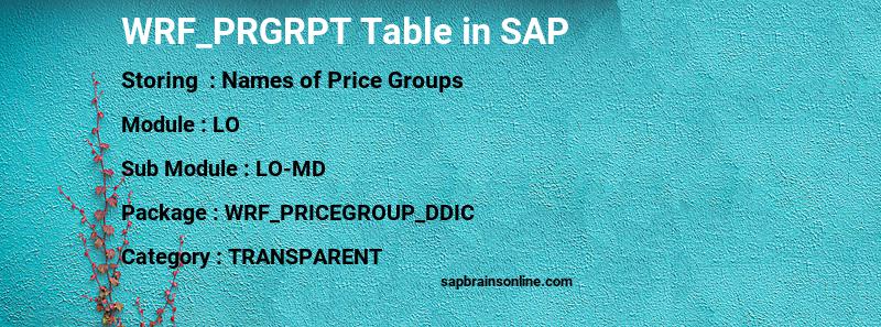 SAP WRF_PRGRPT table