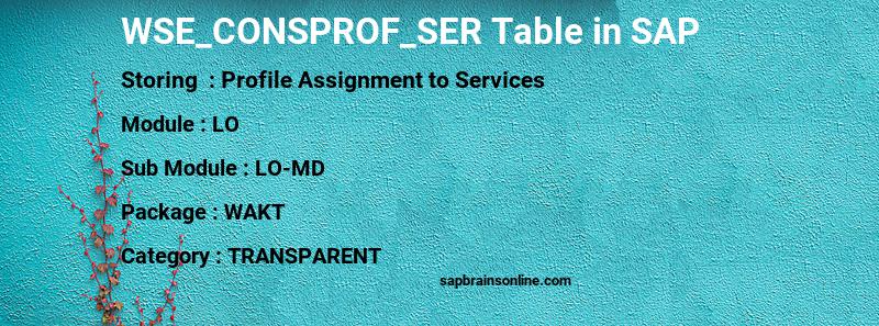 SAP WSE_CONSPROF_SER table
