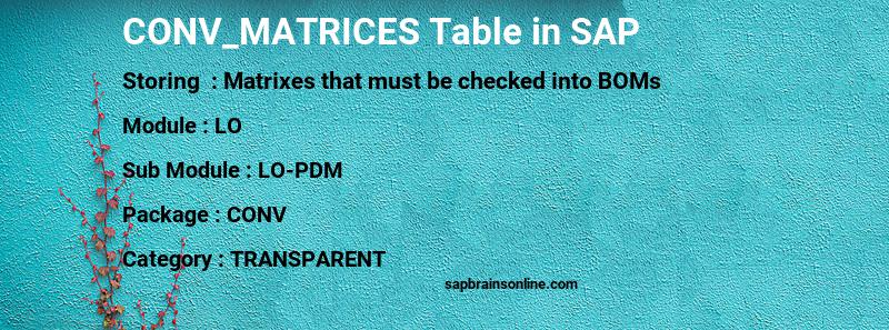 SAP CONV_MATRICES table