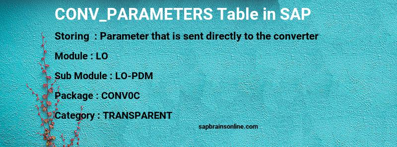 SAP CONV_PARAMETERS table