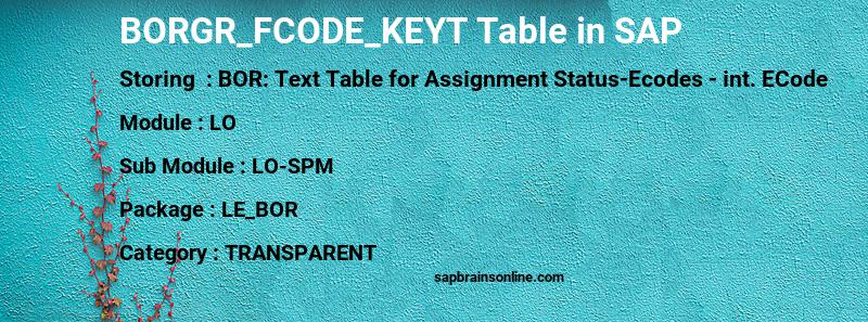 SAP BORGR_FCODE_KEYT table