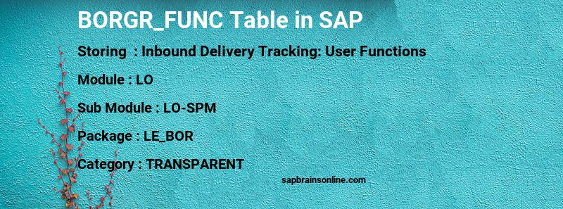 SAP BORGR_FUNC table