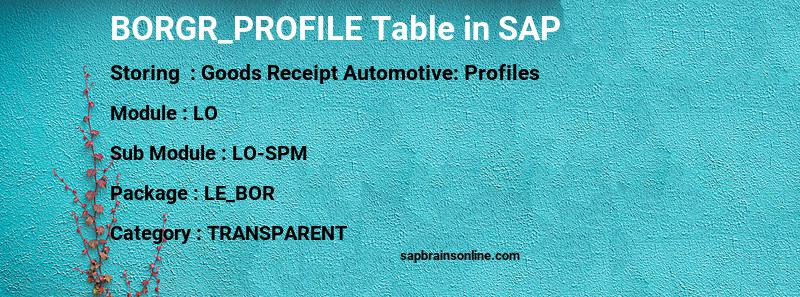 SAP BORGR_PROFILE table