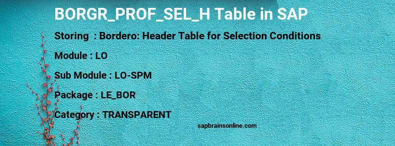 SAP BORGR_PROF_SEL_H table