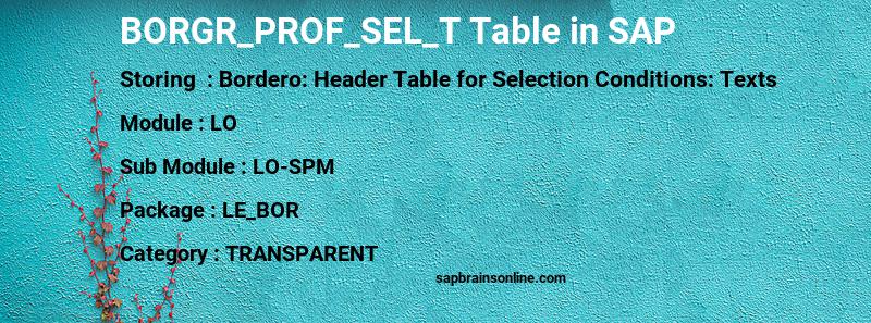 SAP BORGR_PROF_SEL_T table