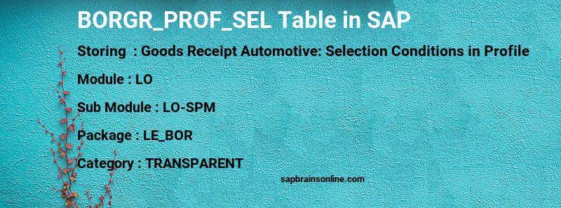 SAP BORGR_PROF_SEL table