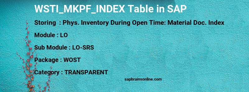 SAP WSTI_MKPF_INDEX table