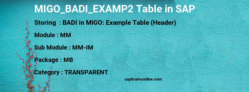 SAP MIGO_BADI_EXAMP2 table
