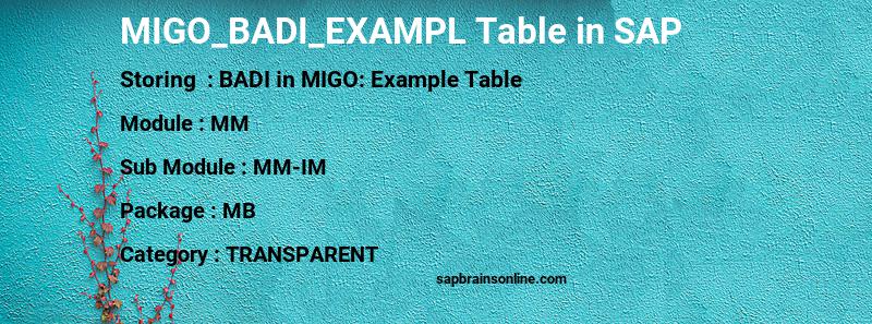 SAP MIGO_BADI_EXAMPL table