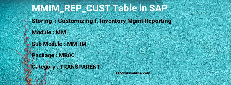 SAP MMIM_REP_CUST table