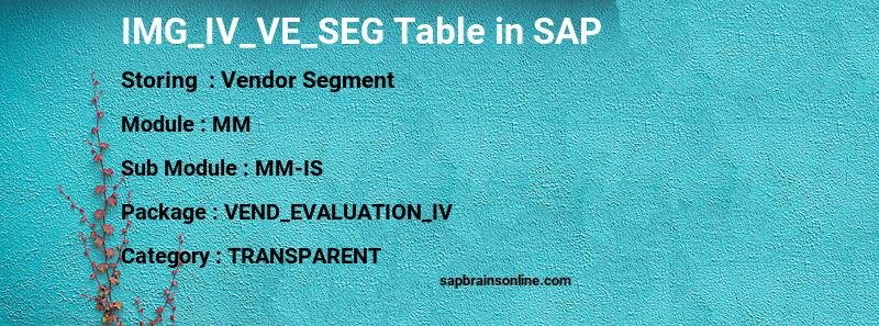SAP IMG_IV_VE_SEG table