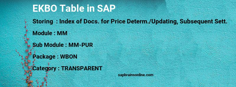 SAP EKBO table