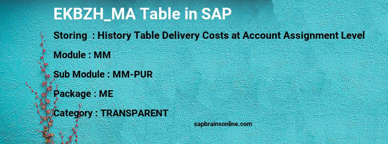 SAP EKBZH_MA table