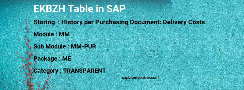 SAP EKBZH table