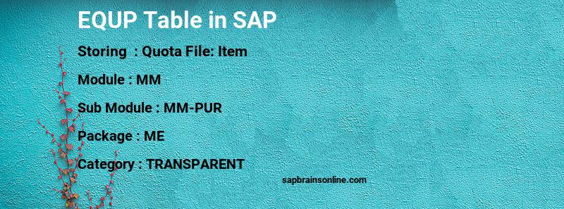 SAP EQUP table