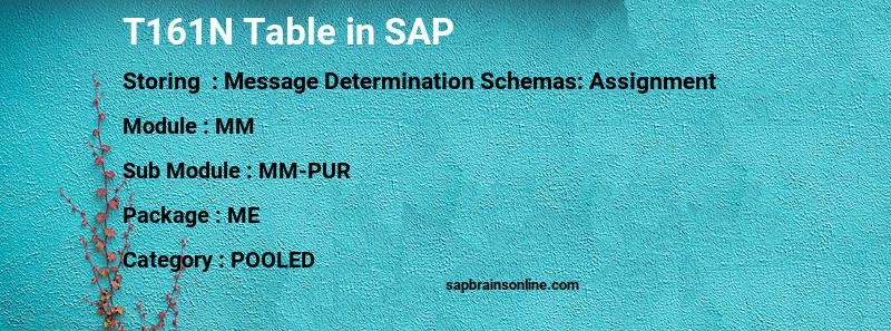 SAP T161N table