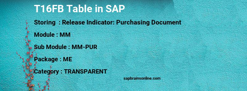 SAP T16FB table