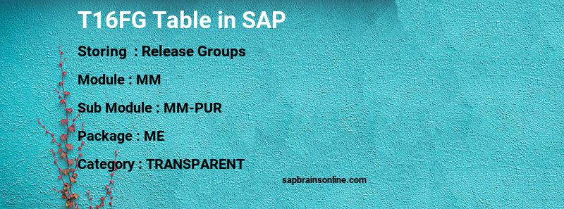 SAP T16FG table