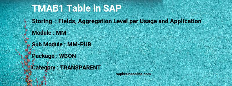 SAP TMAB1 table