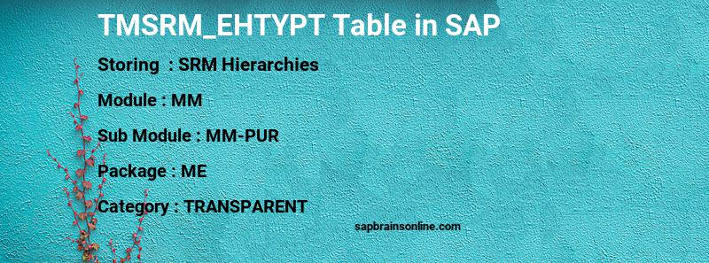 SAP TMSRM_EHTYPT table