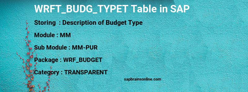 SAP WRFT_BUDG_TYPET table