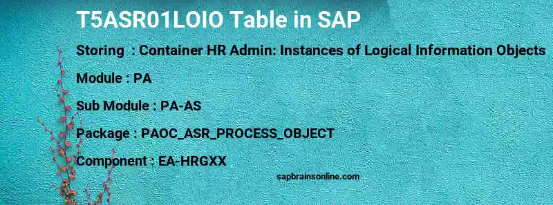 SAP T5ASR01LOIO table