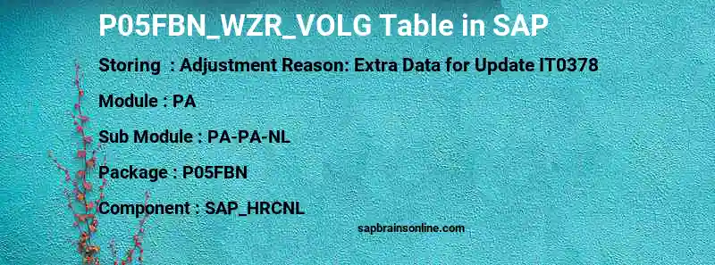 SAP P05FBN_WZR_VOLG table