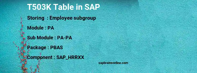 SAP T503K table