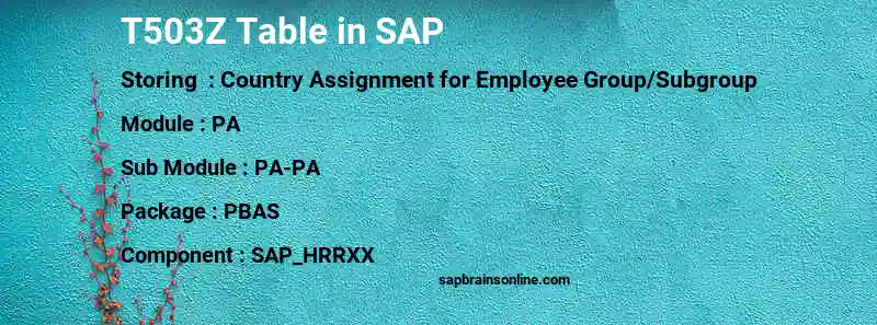 SAP T503Z table