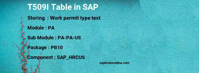 SAP T509I table