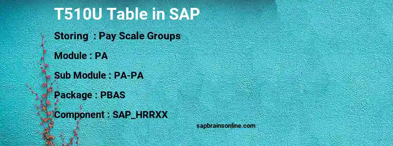 SAP T510U table