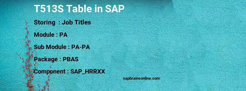 SAP T513S table