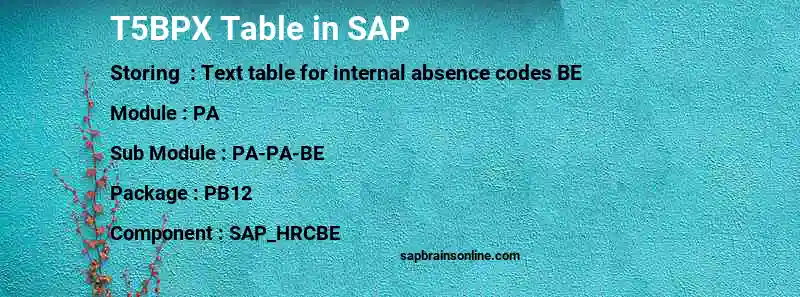 SAP T5BPX table