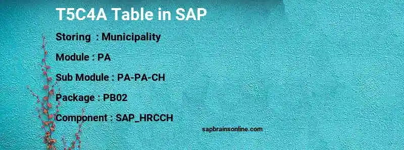 SAP T5C4A table