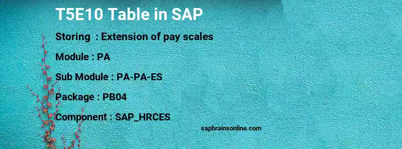 SAP T5E10 table