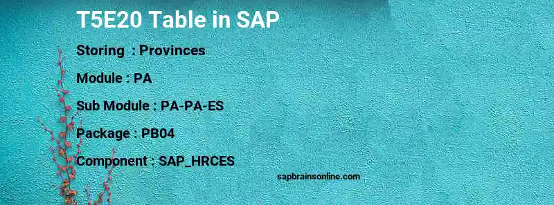 SAP T5E20 table