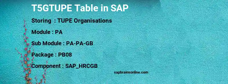 SAP T5GTUPE table