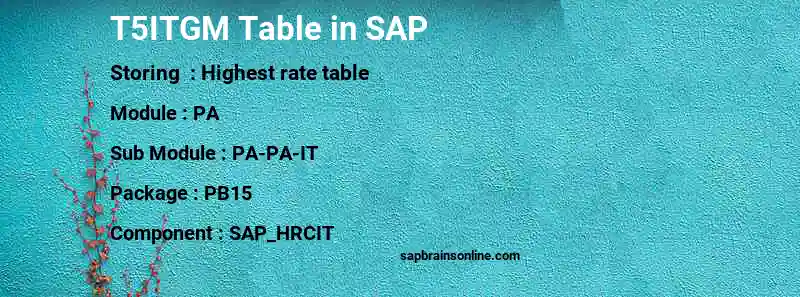 SAP T5ITGM table