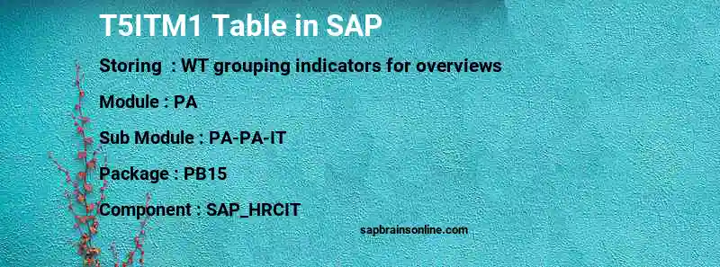 SAP T5ITM1 table