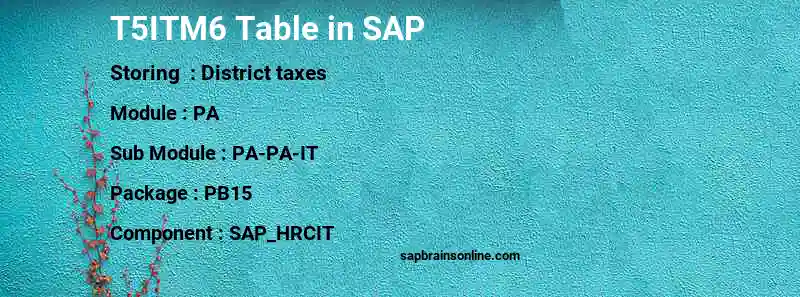 SAP T5ITM6 table