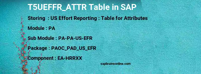 SAP T5UEFFR_ATTR table