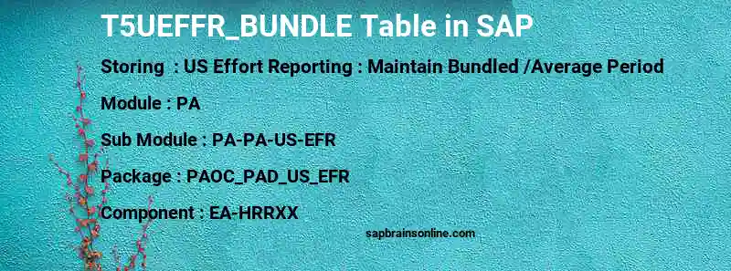 SAP T5UEFFR_BUNDLE table