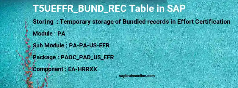 SAP T5UEFFR_BUND_REC table