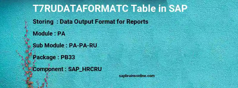 SAP T7RUDATAFORMATC table